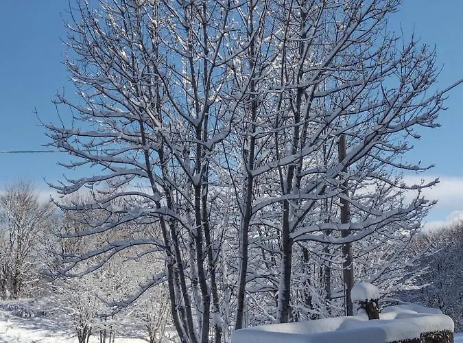 Alle Betulle Bed & Breakfast