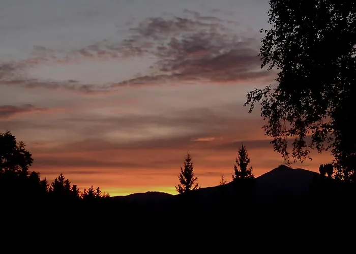 Bed and Breakfast Alle Betulle 3*