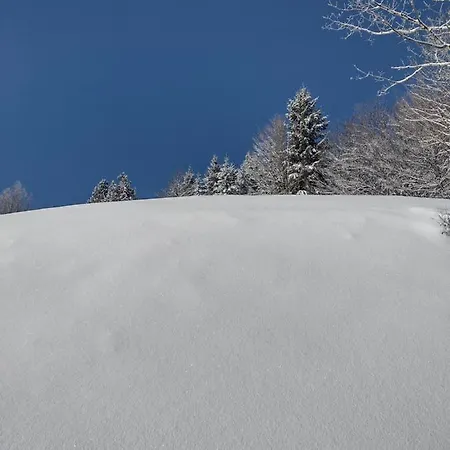 Bed and breakfast Alle Betulle