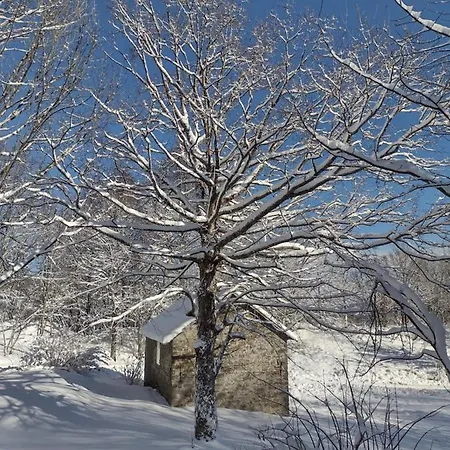 Alle Betulle Bed and breakfast 3*