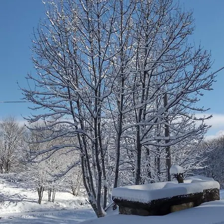 Alle Betulle Bed and breakfast