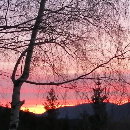 Bed & Breakfast Alle Betulle Pievepelago