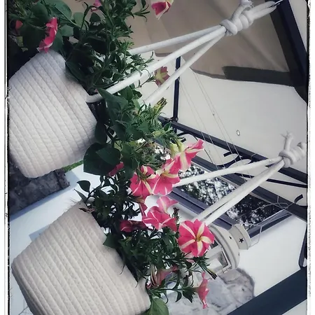 Alle Betulle Bed and breakfast Pievepelago