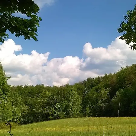 Bed and breakfast Alle Betulle 3*