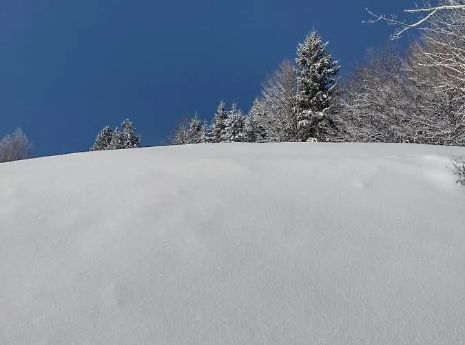 Bed & Breakfast Alle Betulle