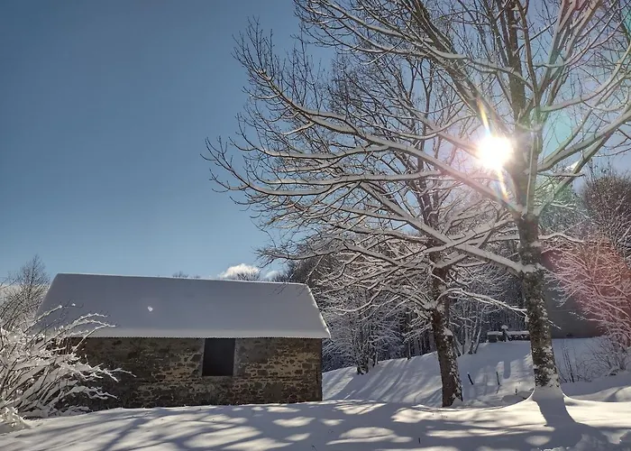 Bed & Breakfast Alle Betulle 3*