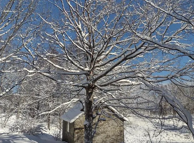 Alle Betulle Bed & Breakfast 3*