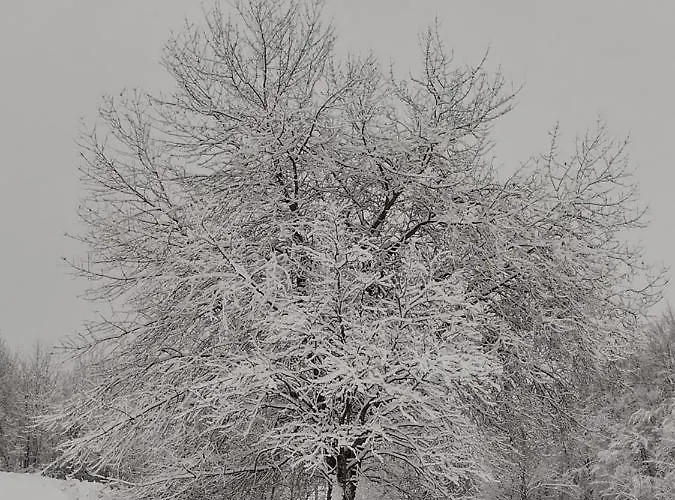 Alle Betulle 3* Pievepelago