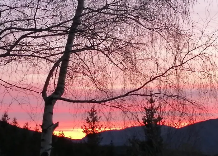 Bed & Breakfast Alle Betulle Pievepelago