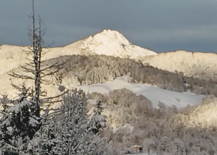 Alle Betulle Bed & Breakfast 3*