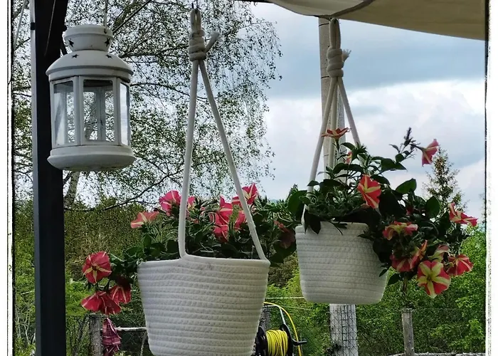 Bed & Breakfast Alle Betulle 3*